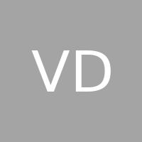 Vintage Developer